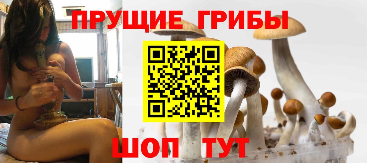 Волгоград  Псилоцибиновые грибы Psilocybine cubensis  Вход с VPN  Псилоцибиновые грибы Magic Shrooms 