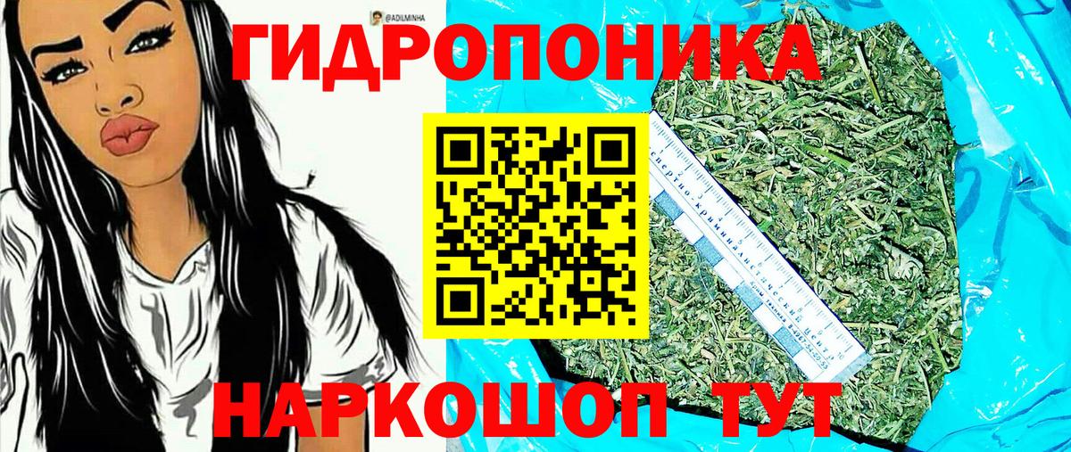 Марихуана конопля Волгоград
